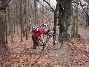 Waldtour 017